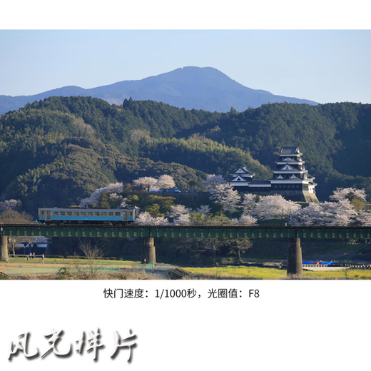 Canon RF lens EOS R RP R5 R6 dedicated full-frame lens RF 24-240 telephoto lens (disassembled) official standard configuration