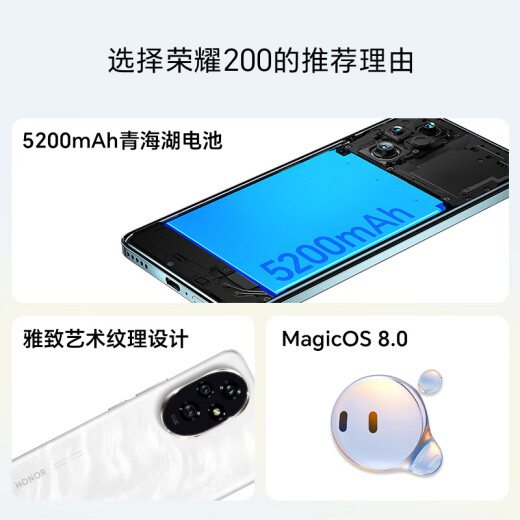 荣耀200 旗舰级青海湖电池 绿洲护眼屏 雅顾光影主摄16+256 绒黑色 拍照5G AI 新款智能手机 国家补贴