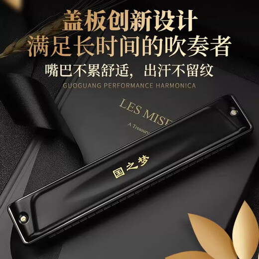 国光进口音簧国光口琴正品24孔复音#A/B/C/D/F/G调/降/成人专业演奏级 #C调（降D调）