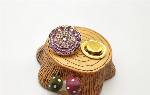 Rong Xia Peking University Peking University Tsinghua University souvenir school badge school badge badge pin badge graduation gift school badge - gold 2 pack