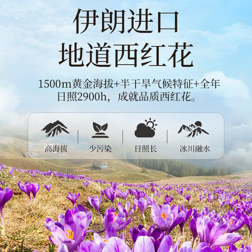 雷允上【伊朗进口】藏红花伊朗西红花茶番红花全红长丝送女神礼品 【精美礼盒】西红花8g