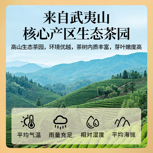 正声乌龙茶 武夷岩茶大红袍花果香一级50g品鉴试饮装茶叶礼盒装自己喝