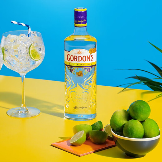 哥顿（Gordon’s）哥顿金酒琴酒伦敦干杜松子酒特选露酒 英国进口洋酒 帝亚吉欧 700mL 1瓶