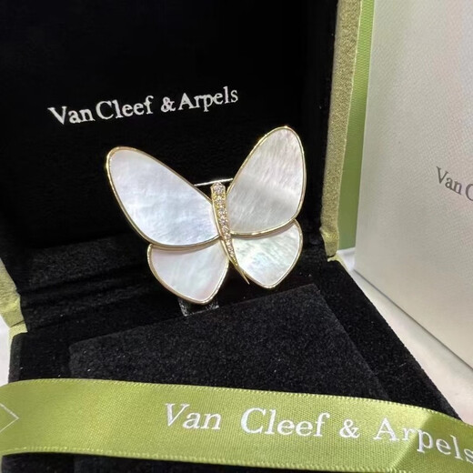 WOUG zirconium emerges from the cocoon and becomes a butterfly. Fritillary butterfly brooch for women. Shell temperament suit accessories. Sea shell + gift box