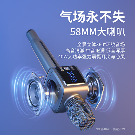 Newmine MC73 karaoke microphone and audio integrated sound card microphone wireless microphone Little Bee amplifier song recording live TV mobile phone Bluetooth karaoke artifact