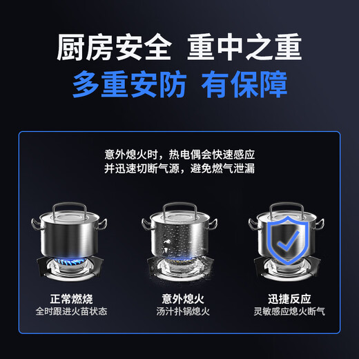 火王（Hione）燃气灶天然气双灶 5.0kW猛火液化气煤气灶 防风旋火台式嵌入式一级能效节能灶W01L/B W01L/B(5.0kW/天然气12T）