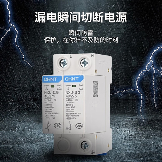 正泰（CHNT）浪涌保护器 NXU-ⅡG电源防雷器 电涌防雷开关 家用避雷器 二级 NXU-ⅡG-40kA/275V 2P
