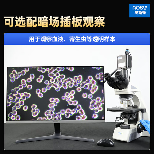 奥斯微（AOSVI）高清实验生物显微镜高倍观察细胞细菌精子螨虫4K专业生物显微镜 L608-AF830（自动对焦/4K拍录含4K屏）