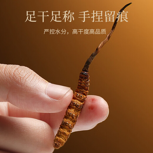 
Qilixiang Cordyceps sinensis 7.5g (30 roots) Qinghai Yushu New Dried Cordyceps Gift Box Cordyceps Cordyceps Good choice for group purchase gifts Gifts for parents and elders tonics