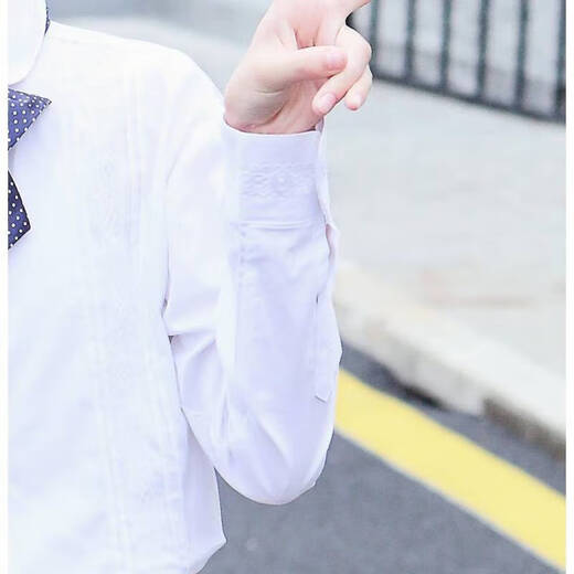 Weiman Xiaolu Children's Shirt Girls White Shirt Long Sleeve Spring and Autumn Clothes Children's Clothing Women's Shirt Children's White Shirt Long Sleeve 248 Long Sleeve Lace 140