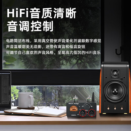 SUCA AUDIO声优创SMART01 胆机功放机家用胆前级发烧级解码前胆后石蓝牙hifi电子管小型功率放大器 标准款【配美国5654电子管】