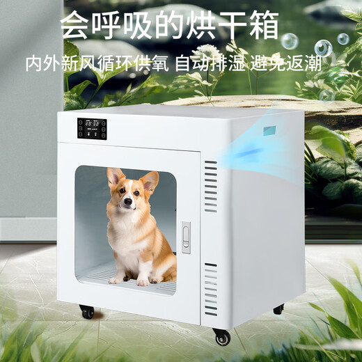 PETKS Boîte de séchage pour animaux de compagnie Entièrement automatique Soufflage d'eau domestique Artefact Séchoir pour chats et chiens Moyens et grands chiens Modèle phare commercial domestique 120L 40Jin Jin est égal à 0,5 kg à l'intérieur