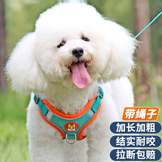Zigman dog leash dog leash dog leash harness set S size small dog Teddy Bichon puppy dog ​​leash