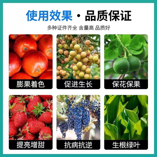 98% increased amine production, DCPTA original powder, roots and fruit expansion, increased production, improved quality, color and sweetness, green leaves, roots and seedlings, 100g simple packaging, free one gram spoon