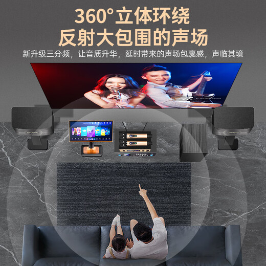 HYUNDAI现代家庭影院点歌机KTV音响套装大功率功放卡拉ok家用点唱k歌设备客厅会议室卡包音箱 【经典版】家庭KTV【升级金属话筒】