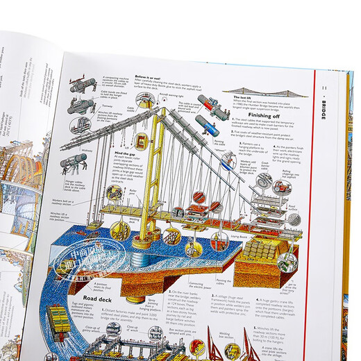 英文原版 Incredible Cross-Sections of Everything