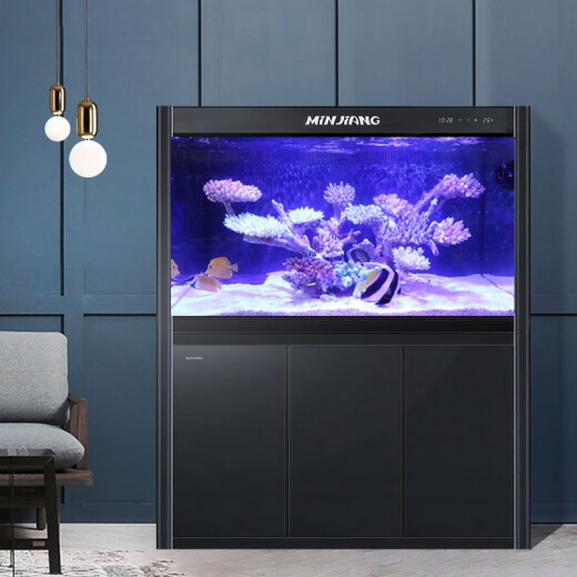 Fujian Jiang (minjiang) fish tank, aquarium, no water change, ecological landscaping, goldfish tank living room screen, medium and large glass arowana tank, goldfish tank black (gift package + landscaping + upgraded filtration) length 60*width 30*height 64.5 (fish tank body does not include cabinet, )