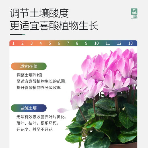Stanley camellia jasmine azalea clivia gardenia fertilizer special fertilizer household nutrient solution acidic 500ml
