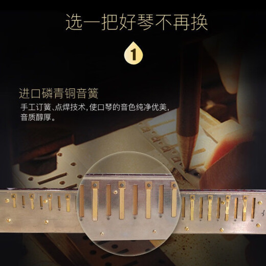 天鹅德国进口音簧28孔复音口琴高端成人重音送礼品专业演奏级乐器 蓝色重音C调