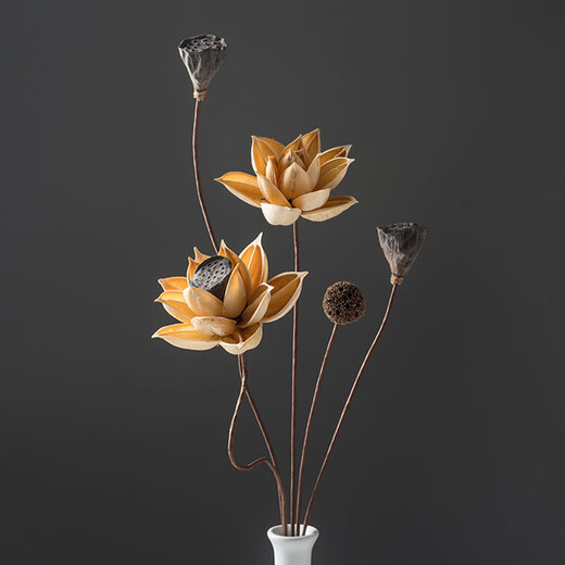Stern Adventure Trocken Blumenstrauß echte Blumendekoration Ornament Lotus luftgetrockneter Lotus Pod Natural Lotus Wurzel Zen Blume Arrangement Chinesische Wohnzimmer Dekoration getrocknete Blume Kombination 5012 getrockneter Blütenbeutel