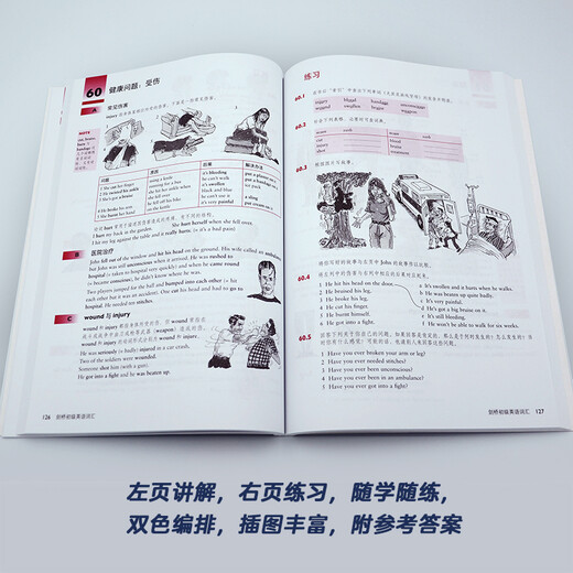 剑桥初级英语词汇（剑桥“英语在用”English in Use丛书 第二版中文版）