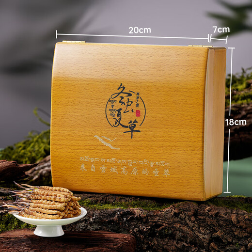 2 Cordyceps sinensis raíces/g 20g 40 a gran altitud Cordyceps grandes especificaciones Cordyceps King Nutritive Gift Box