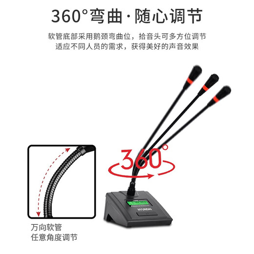HYUNDAI现代BK10专业中小型会议室音响套装壁挂式音箱蓝牙功放无线话筒组合教学培训店铺音响系统设备 【两音响/八鹅颈】会议音响套装（20-120平）