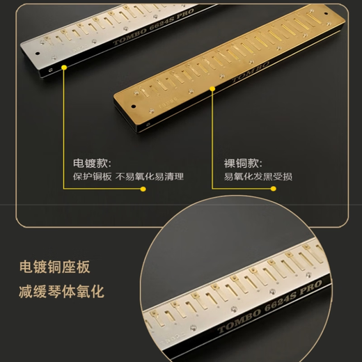 Tongbao Tombo New 6624S Pro 24-Loch Polyphonic Mundhononica C-Tuning Advanced Performance Model Upgraded Electroplating Satplate #f-Tuning [G-Tuning]