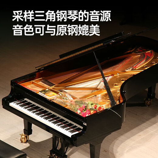 Terence electronic piano 88 key folding piano for adults and children beginners electric steel keyboard teaching instrument V10 home piano elegant black + original piano bag
