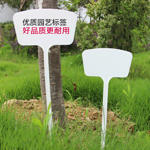 Yong Huan Noodle Gardening Ground Sign Writing Plant Label Experimental Plug Ground Sign Succulent Label Signage Ground Plug Sign 500 Small Noodles 20cm White