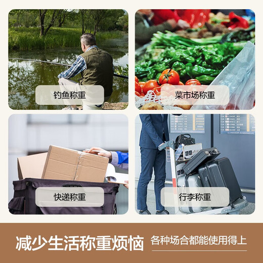 Xiangshan portable scale electronic scale portable luggage scale high-precision gram scale electronic scale kitchen spring scale household hook scale luggage weighing express scale mini hook scale rechargeable model - with tape measure - 0.04kg-75kg