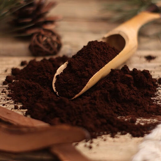 Ganjunzhuang Changbaishan Ganoderma lucidum spore pulver massen 500g