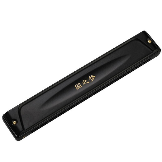Guoguang harmonica Japan imported gong 28 hole professional performance-level high-end flagship polyphonic C-key middle-aged and elderly adult 24 stress harmonica beginner introductory instrument [Performance level] 28 hole polyphonic C-key matte black + gift