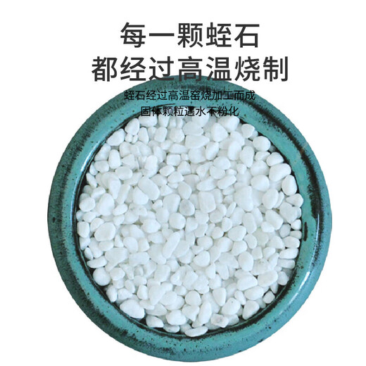 Devodo white stone 2.5KG succulent planting soil flower soil plant planting matrix succulent granular soil nutrient soil