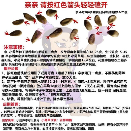 墨绿小葫芦翡翠葫芦盆栽手捻小葫芦种子文玩亚腰种盆栽四季阳台 种墨绿小葫芦种子 粒粒饱满發芽率9922粒