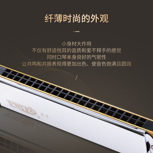 东方鼎重音口琴21孔进口音簧T2110演奏级12个调性初学生成人专业乐器 D#调