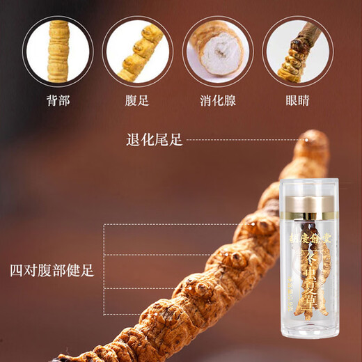 Hu Qingyutang Cordyceps sinensis 0.9g/bottle gift box tonic nutritious products to give gifts to elders to parents 1 bottle