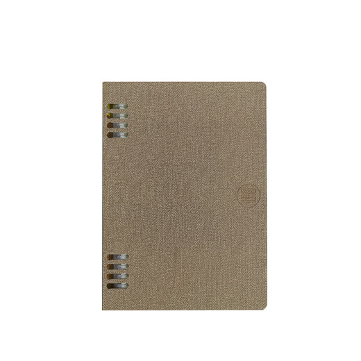 Cahier électronique de sélection d'encre chinoise, bloc-notes d'écriture intelligent, bloc-notes, bloc-notes de bureau intelligent, synchronisation d'écran en papier, peut stocker des enregistrements de réunion, agenda, bloc-notes de bureau intelligent, bloc-notes d'écriture manuscrite, bloc-notes cloud intelligent N6-tea couleur café (avec stylo électromagnétique)