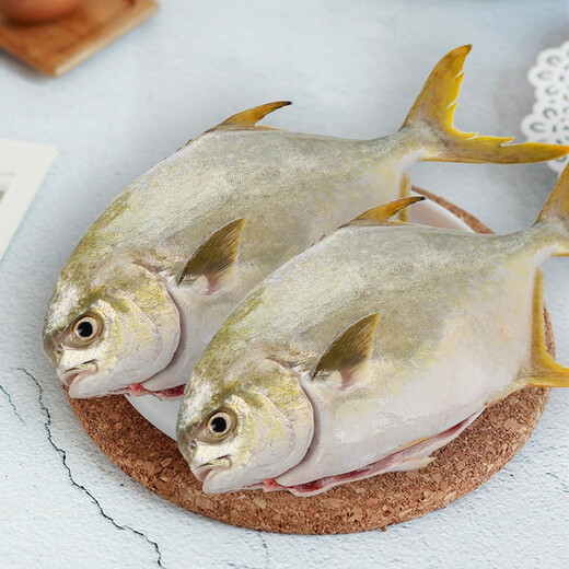 Xiangtai Hainan second-stripped golden pomfret 700g/2 pieces, grilled fresh fish with gills and internal organs removed, seafood and aquatic products