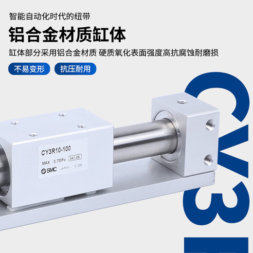 Cylindre XMSJ Cy3RG6100CY1R15TN20 CY1RCY3R15850