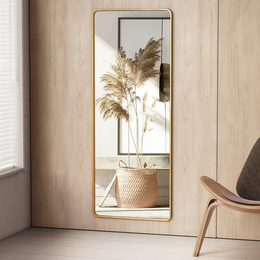 Anya miroir de dressing mural diffusion en direct miroir mural pleine longueur sans sol chambre salon miroir de montage 50*160 champagne or