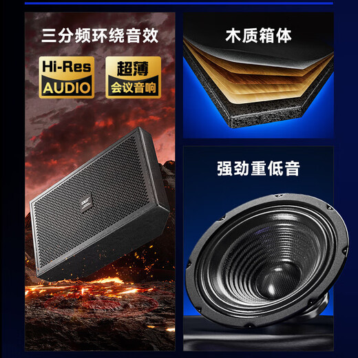 先科会议室音响设备全套家庭KTV演讲培训背景音乐套装 蓝牙功放壁挂音箱无线麦克风 W8-1 8吋超薄套装+双手持麦克风