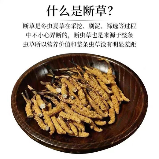 西那藏曲大断草虫草冬虫夏草断草高海拔虫草干货断草自用实惠装 西藏那曲精品大断草5克