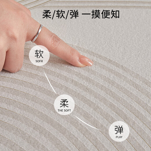 布迪思地毯卧室大面积满铺家用客厅毯沙发茶几轻奢防滑毯简约可定制地毯 现代6210【加厚圈绒】 240*300CM