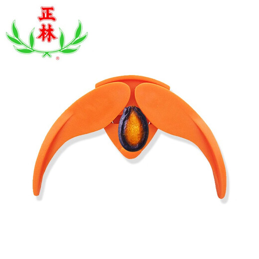 
Zhenglin melon seeds watermelon seeds large slices of five-spice licorice salty black melon seeds office casual snacks new year's goods fresh roasted 3A watermelon seeds 688g bucket 688g 1 can