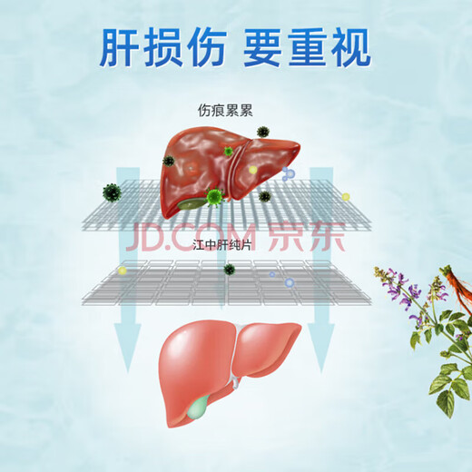 Jiangzhong Leber Pure Tablets 3 Kisten für Männer und Frauen, die trinken und Kontakte trinken, bleiben, bleiben Sie spät, um die Leber zu nähren und die Leber zu schützen und zu entgiften