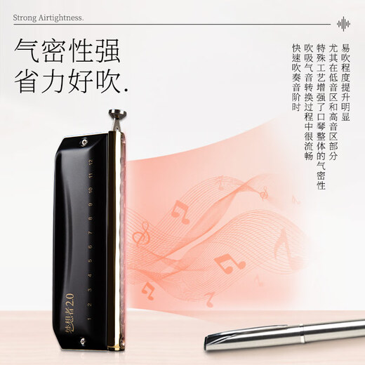 东方鼎（EAST TOP）半音阶口琴12孔48音黑色款 梦想者2.0 专业演奏初学练习通用款