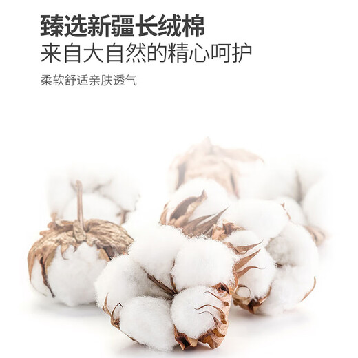 ROMON Oxford shirt men's anti-wrinkle easy-care long-sleeved casual striped shirt jacket men's gray 4XL