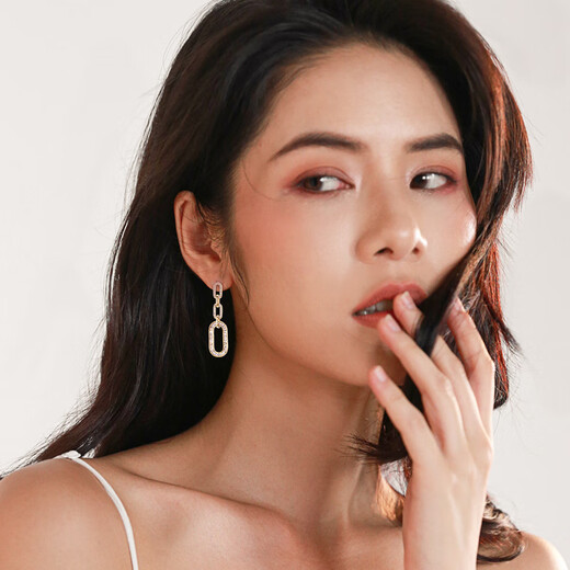 Qlady temperament geometric silver earrings women's fashion long 925 silver needle earrings niche design light luxury high-end autumn and winter earrings birthday gifts for girlfriends and wives