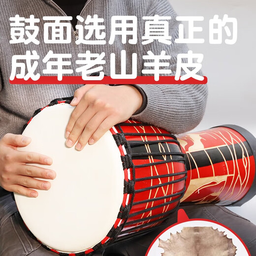铂西诺非洲鼓木质羊皮鼓打击乐器成人儿童初学丽江手鼓8/10/12寸木鼓 【红雕大象】送学鼓礼包 标10寸-适合中小学生